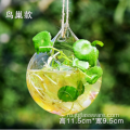 Formă vază din sticlă borosilicată suspendată
